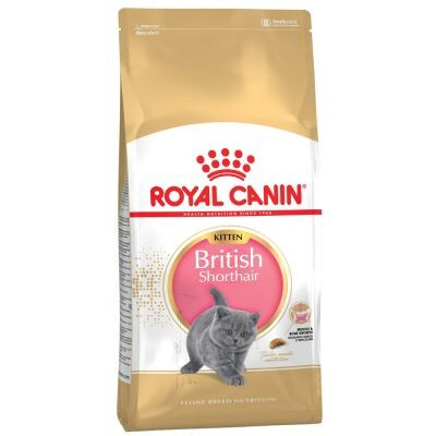Royal+Canin+British+Shorthair+Kitten